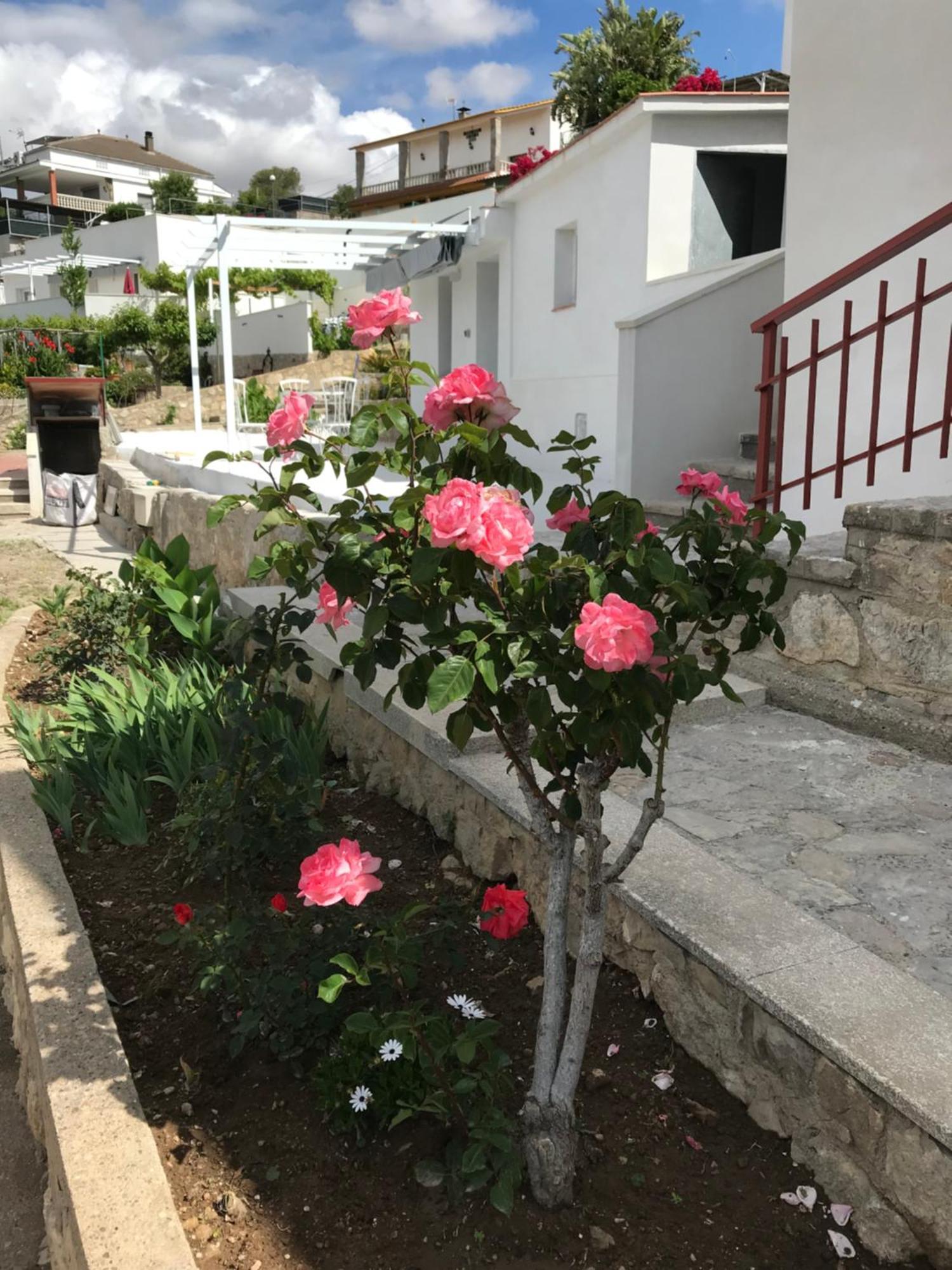 Villa Campagne Luxueuse De Sitges Olivella Esterno foto